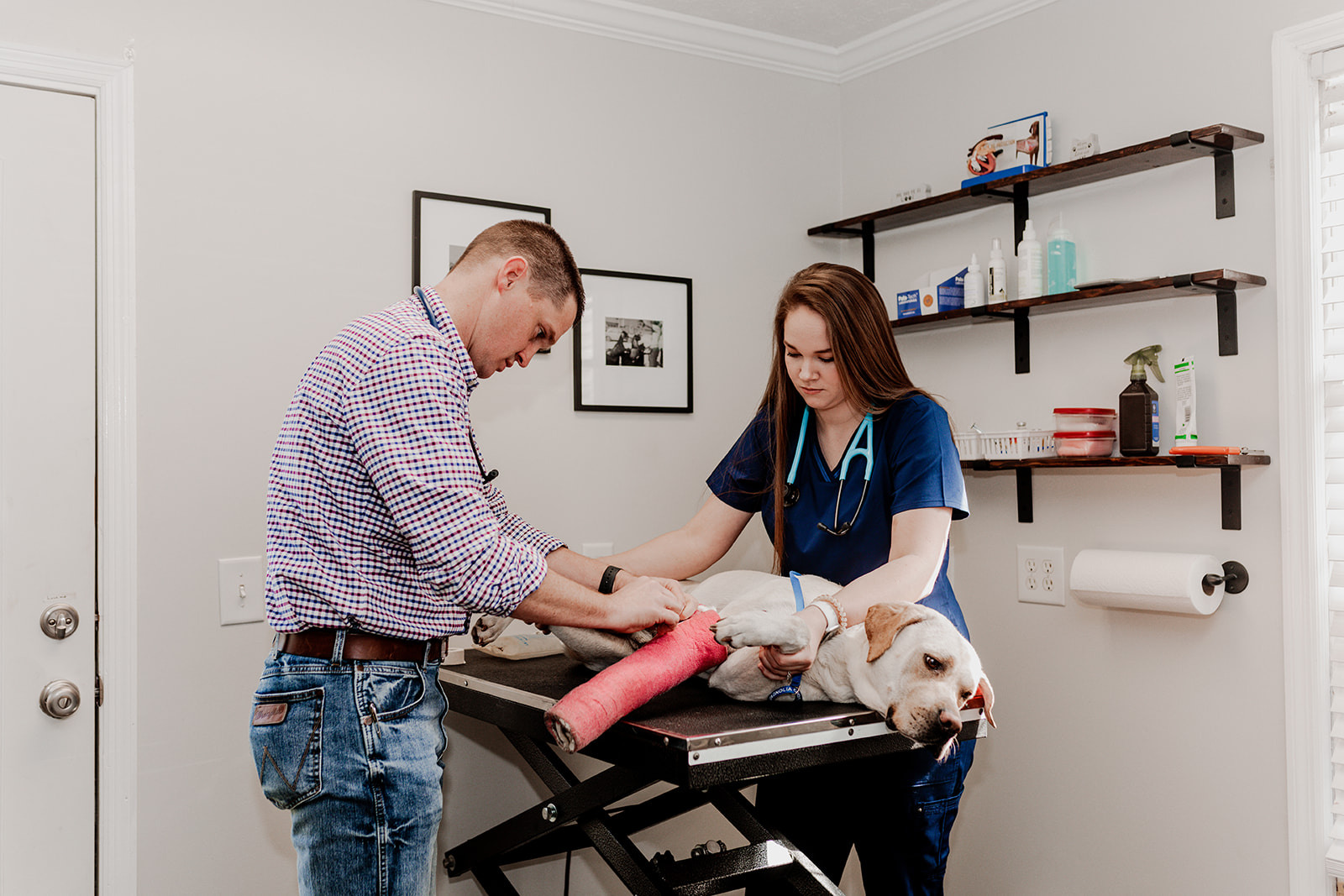 Veterinary Services in Dublin